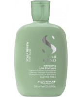 Купити Alfaparf Scalp Шампунь для зміцнення волосся 250 мл Артикул: 000013767 Фото мініатюра № 1