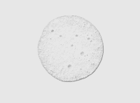 Купити Paul Mitchell Awapuhi Shampoo -Супер-живильний шампунь з екстрактом авапуї 300 мл Артикул: 000000035 Фото мініатюра № 2