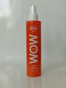 YOU look Professional PLEX PROTECT - Захисний спрей для волосся з PLEX формулою   200 мл